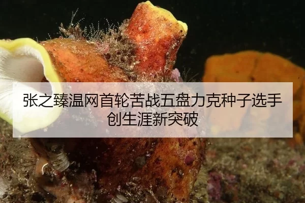 zhang-zhi-zhen-wen-wang-shou-lun-ku-zhan-wu-pan-li-ke-zhong-zi-xuan-shou-chuang-sheng-ya-xin-tu-po-2-546.jpg